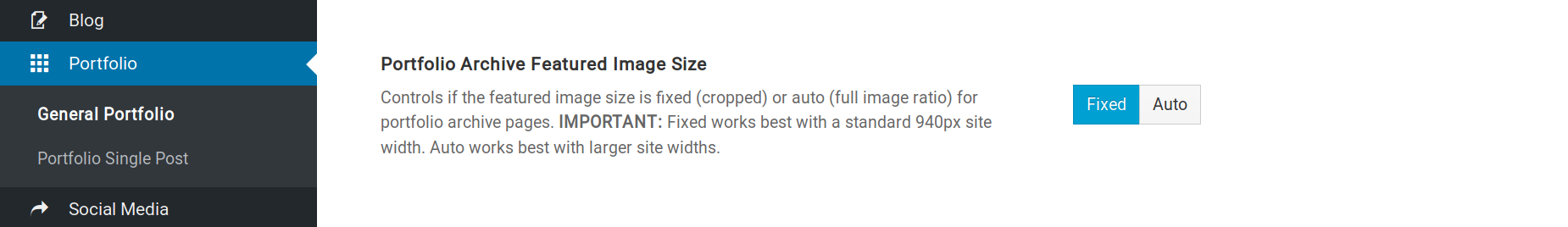 Theme Options Portfolio Archive Featured Image Size Option